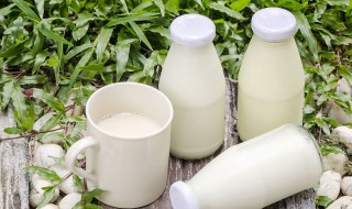 脱脂牛奶的功效与作用 脱脂牛奶的功效与作用禁忌