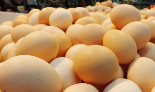鸡蛋壳的作用 鸡蛋壳的作用和功效