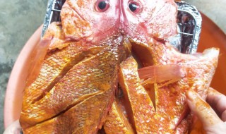 烤红鱼的做法和配方（烤红鱼怎么做）