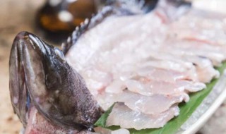 石斑鱼可以做生鱼片吗