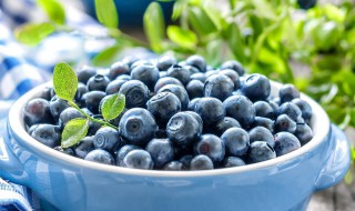 蓝莓是凉性水果吗 蓝莓是凉性水果吗还是热性